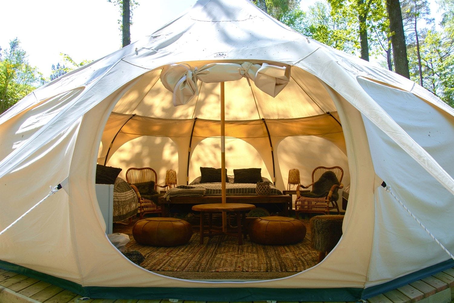 lotus_belle_18142-c99b319f